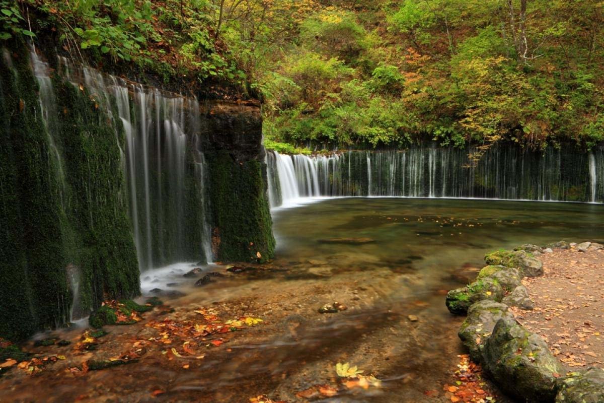 🏞️ 백사 폭포 (아키요시 시라이토노타키) 이미지 4